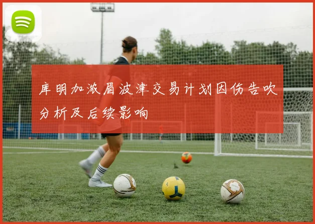 库明加浓眉波津交易计划因伤告吹分析及后续影响