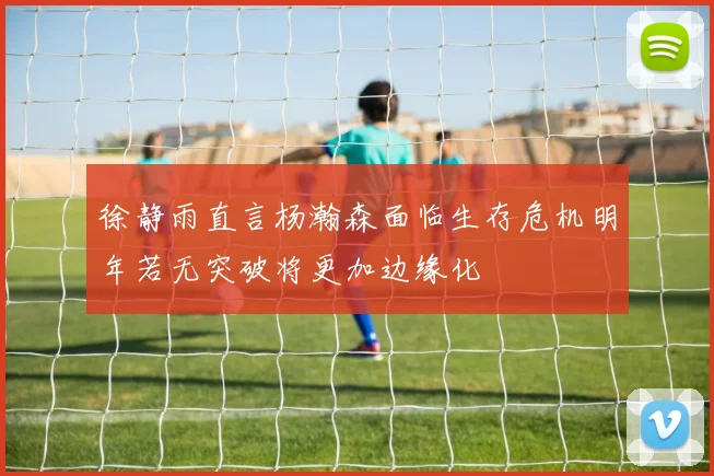 徐静雨直言杨瀚森面临生存危机明年若无突破将更加边缘化