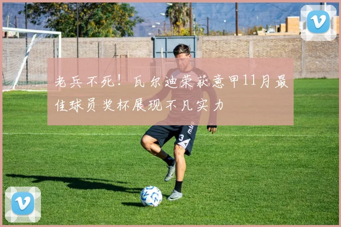 老兵不死！瓦尔迪荣获意甲11月最佳球员奖杯展现不凡实力