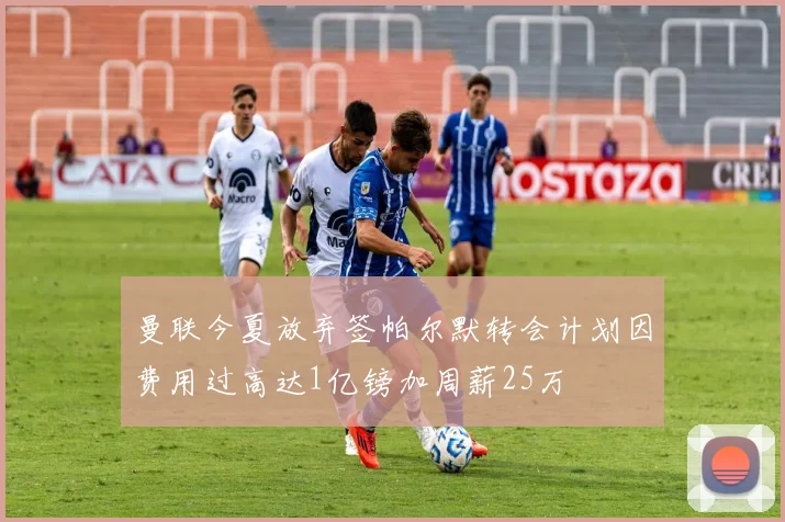 曼联今夏放弃签帕尔默转会计划因费用过高达1亿镑加周薪25万